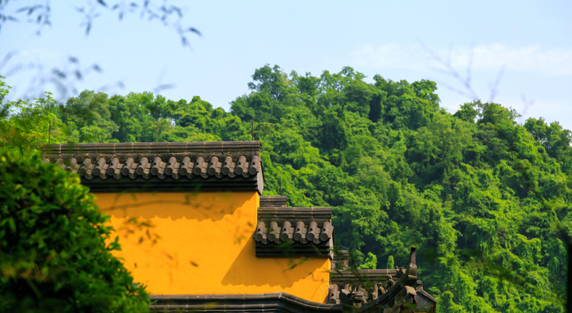 1658711820996745.png image.png