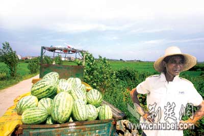 亚洲十大信誉网赌网址排名