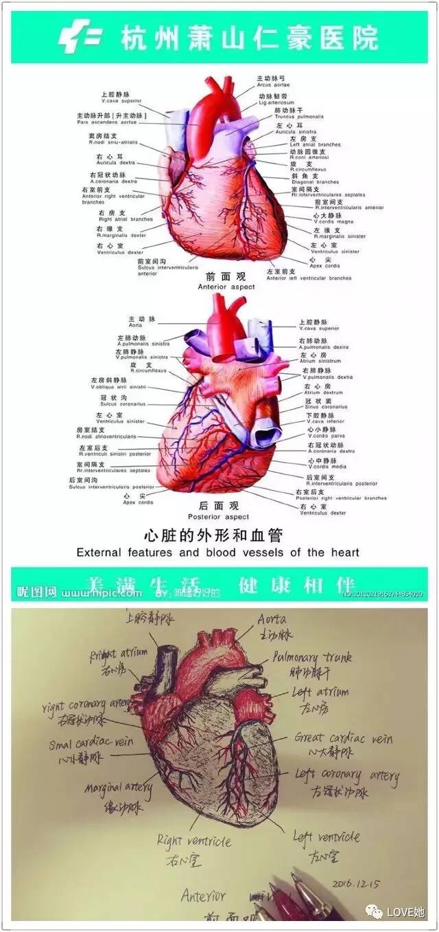 亚洲十大信誉网赌网址