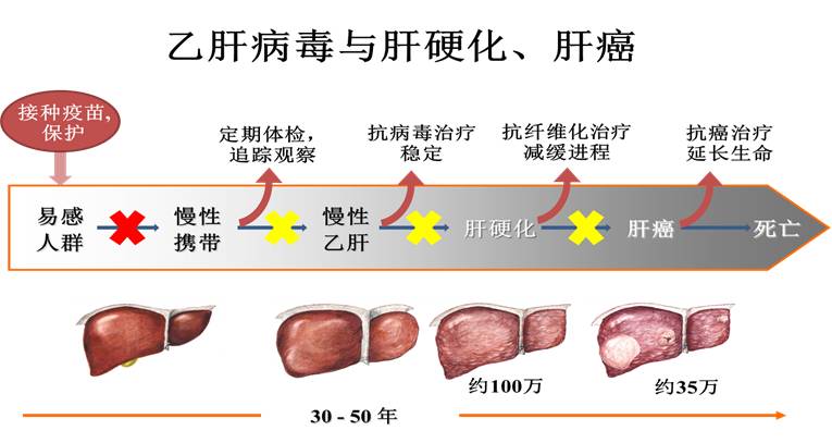 亚洲十大信誉网赌网址排名